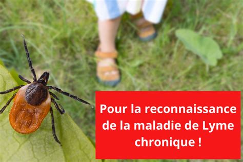 maladie de lyme chronique